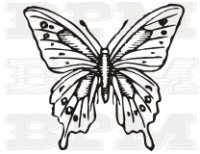 /album/hmyz/hmyz-32-jpg/